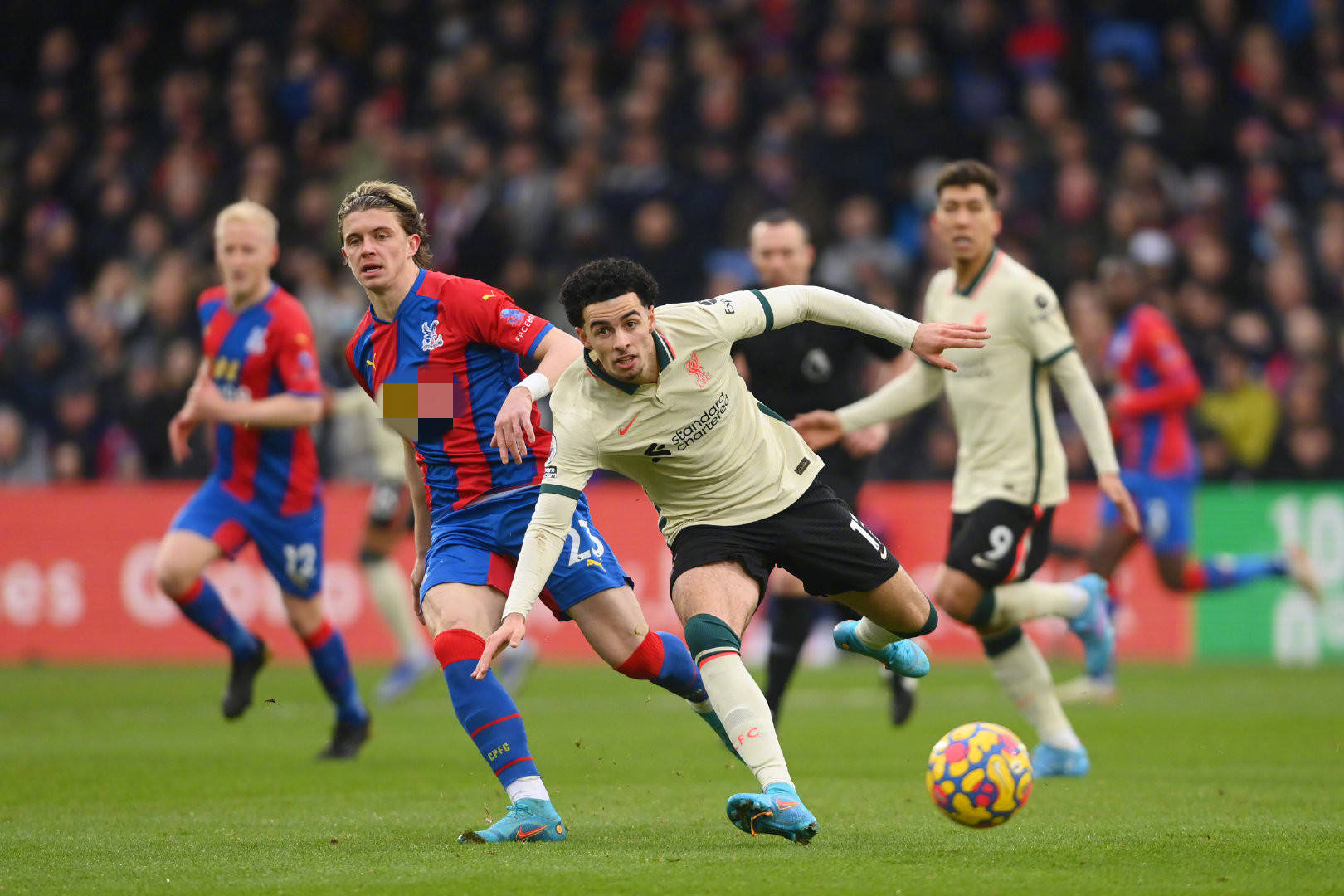 经采取邀请 经采取邀请